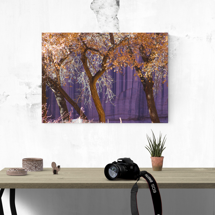 Tablou canvas natura, Violet Autumn [4]