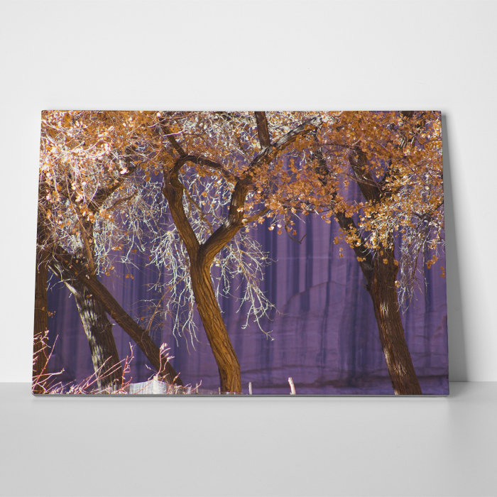 Tablou canvas natura, Violet Autumn [3]