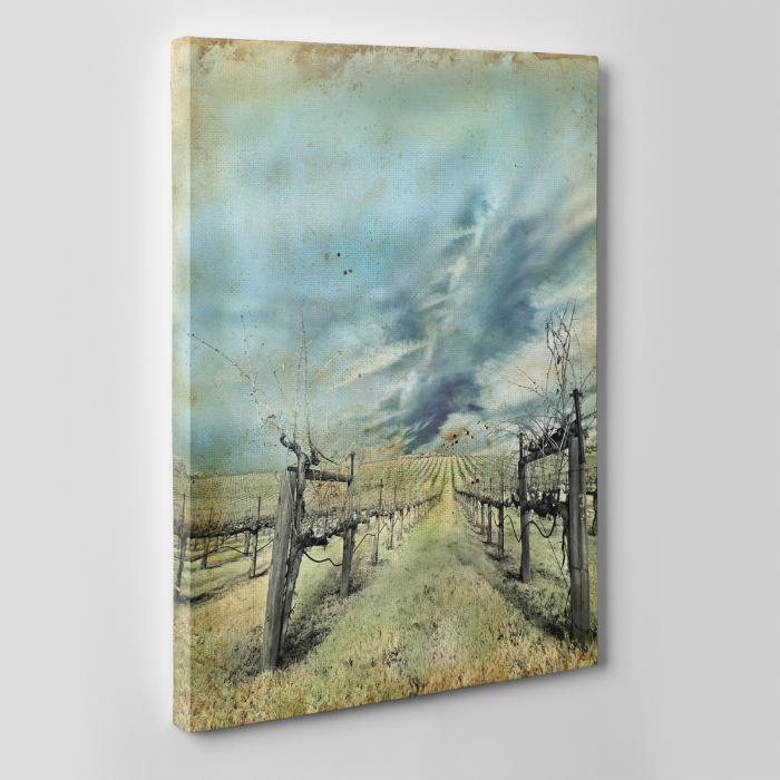 Tablou canvas natura, Wineyard [2]