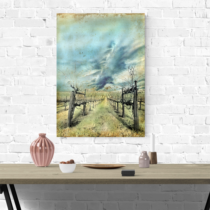 Tablou canvas natura, Wineyard [4]