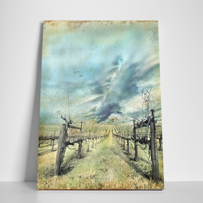 Tablou canvas natura, Wineyard [3]