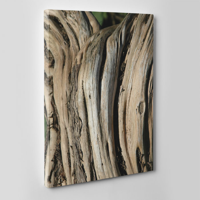 Tablou canvas natura, Wood Surface [2]