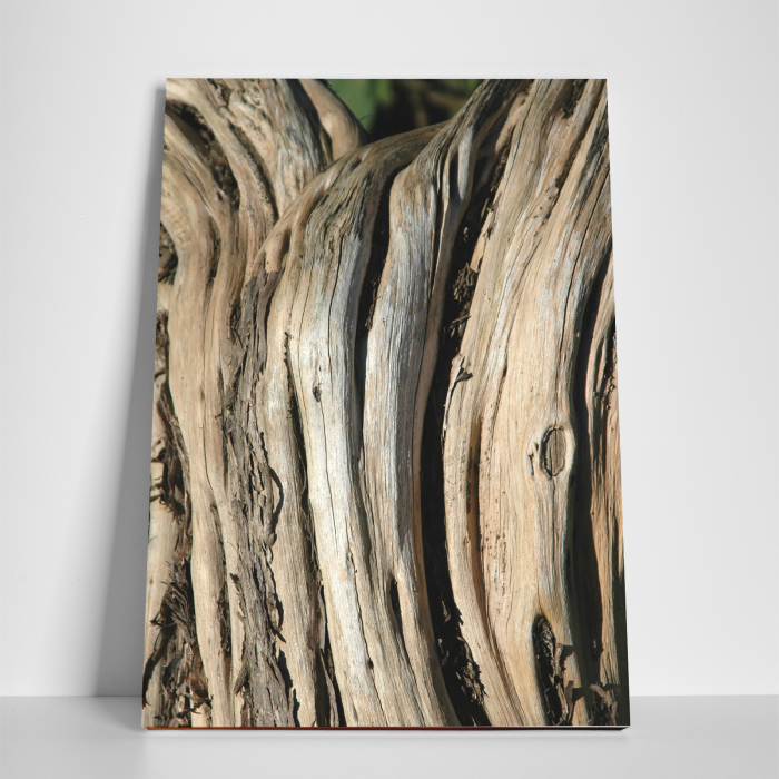 Tablou canvas natura, Wood Surface [3]