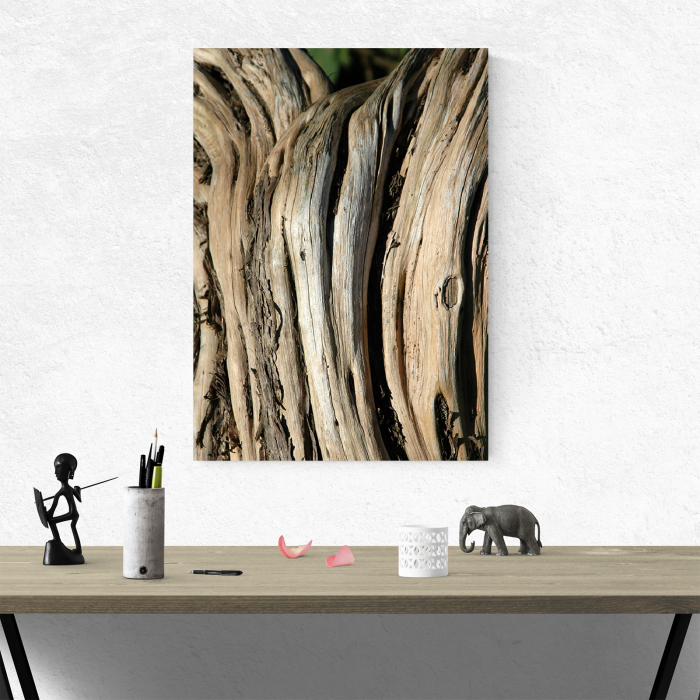 Tablou canvas natura, Wood Surface [4]