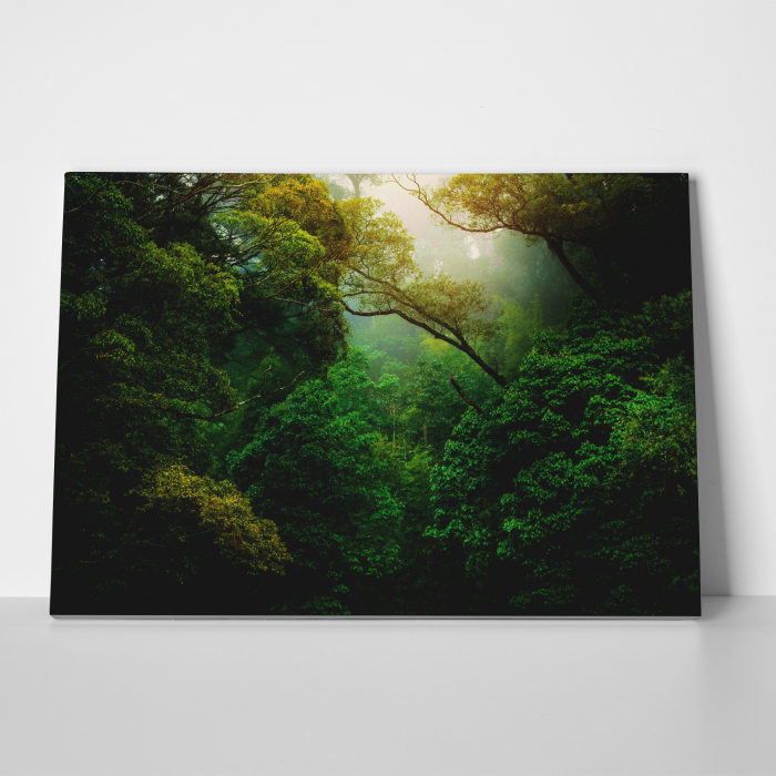 Tablou canvas, peisaj natura, Jungla salbatica [2]