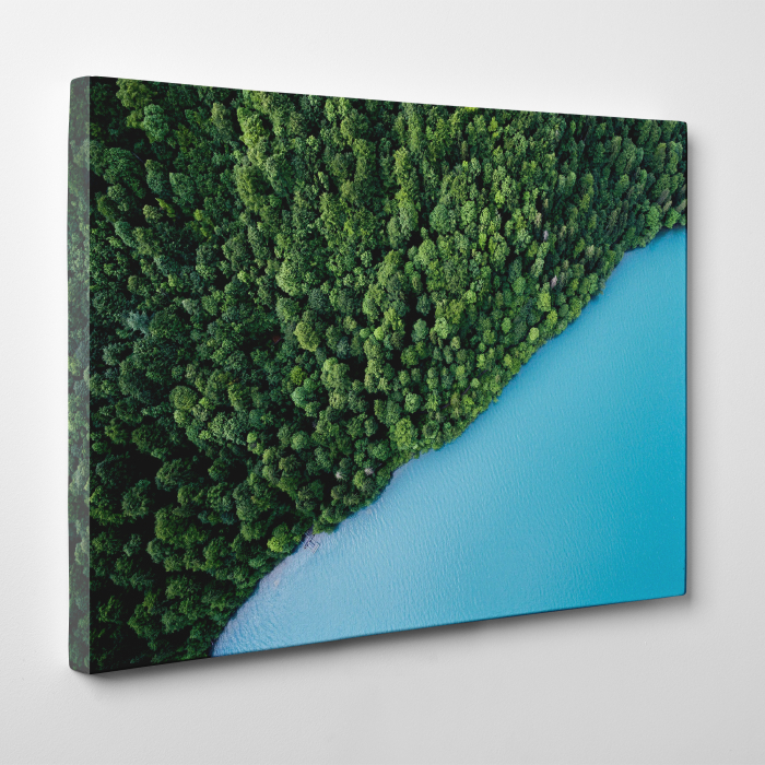 Tablou canvas, peisaj natura, Marea si padurea [3]