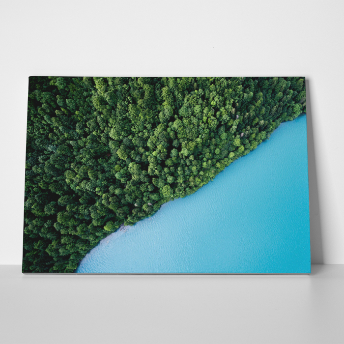 Tablou canvas, peisaj natura, Marea si padurea [2]