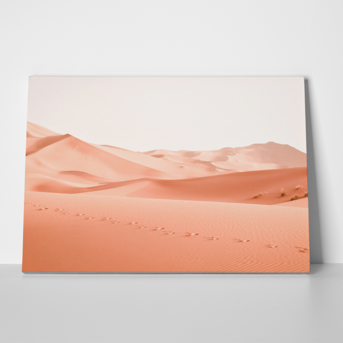 Tablou canvas, peisaj natura, Pasi prin nisipul desertului [2]