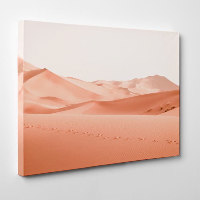 Tablou canvas, peisaj natura, Pasi prin nisipul desertului [3]