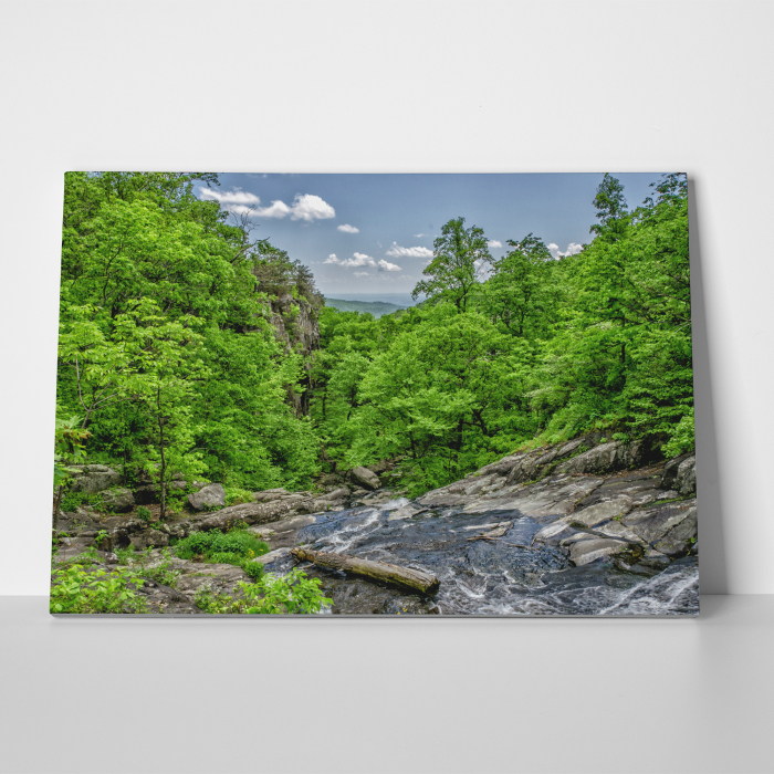 Tablou canvas, peisaj natura, Rauri de munte [2]