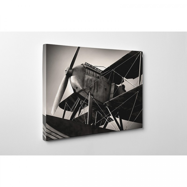 Tablou canvas retro, Old Plane [2]