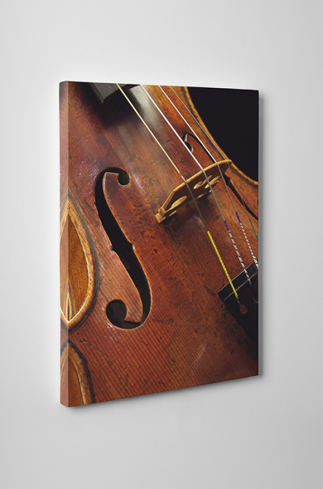 Tablou canvas retro, Violin [2]