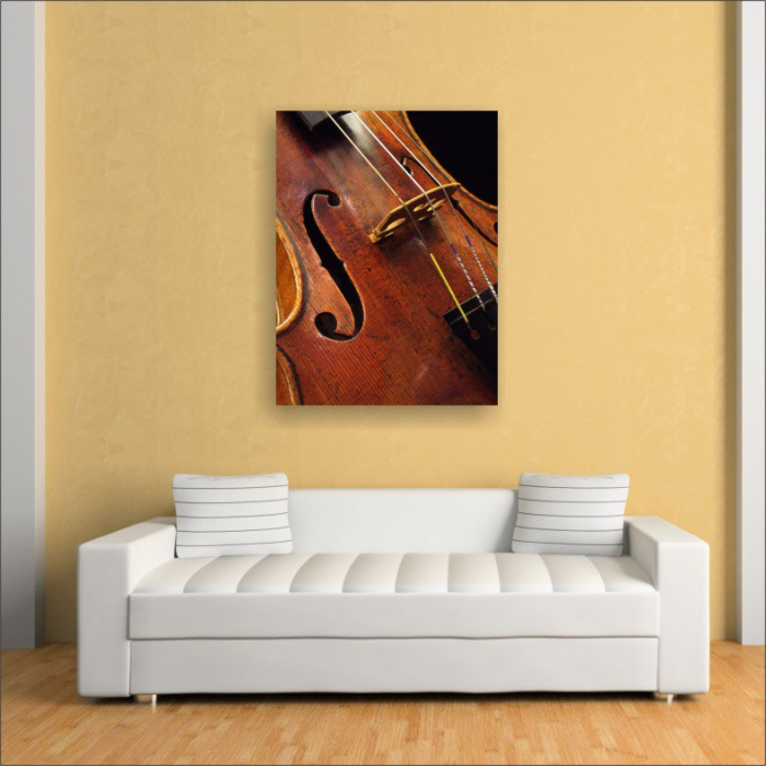 Tablou canvas retro, Violin [3]