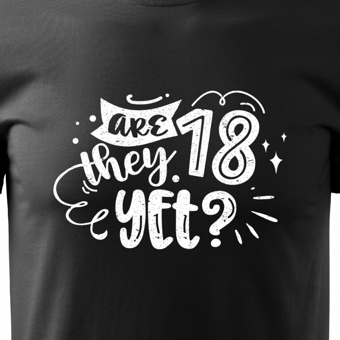 Tricou cu mesaj, pentru parinti, idee de cadou, Are They 18 Yet [2]