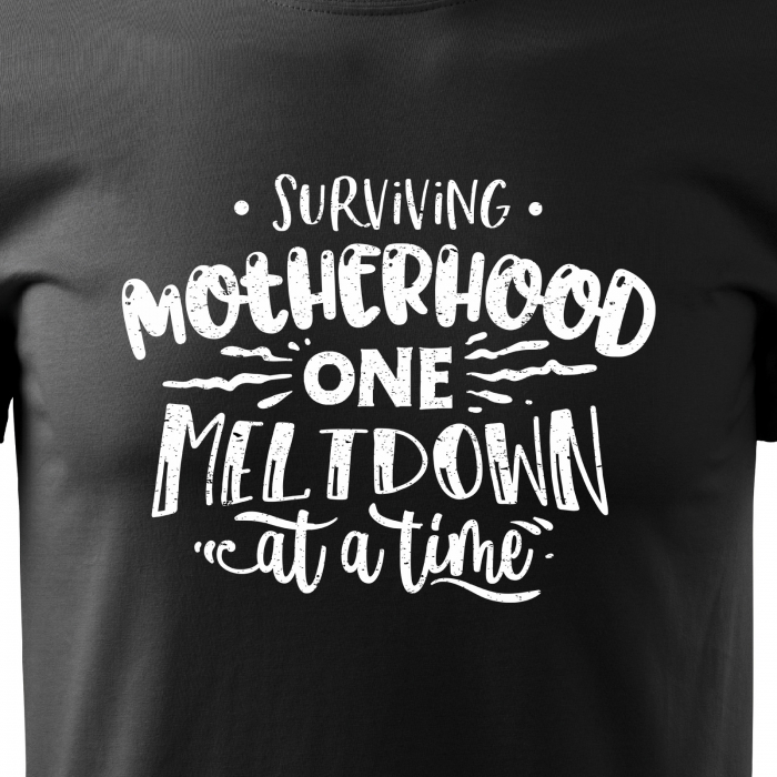 Tricou cu mesaj, pentru parinti, idee de cadou, One Meltdown at a Time [2]
