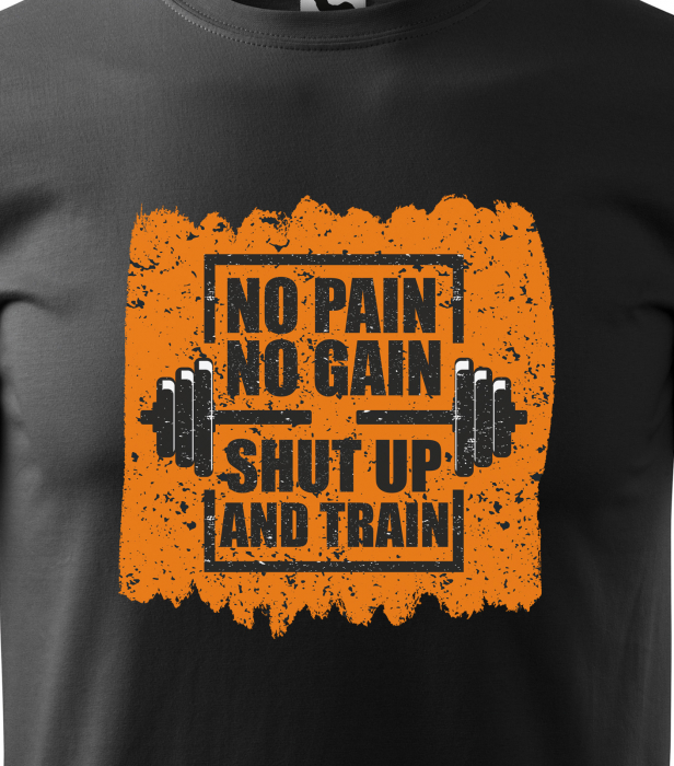 Tricou pentru pasionatii de fitness/sala de forta, No Pain No Gain Shut Up and Train [2]