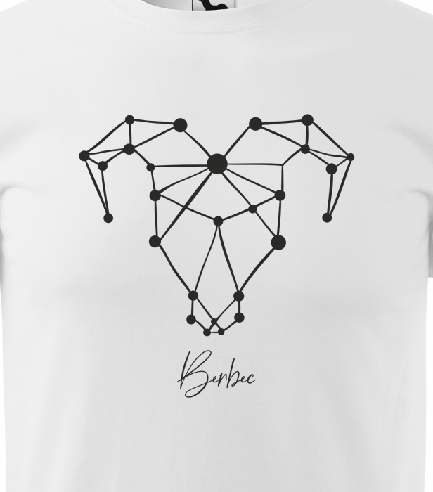 Tricou pentru zodia Berbec (21 martie - 20 aprilie), Horoscop Berbec, idee de cadou [2]