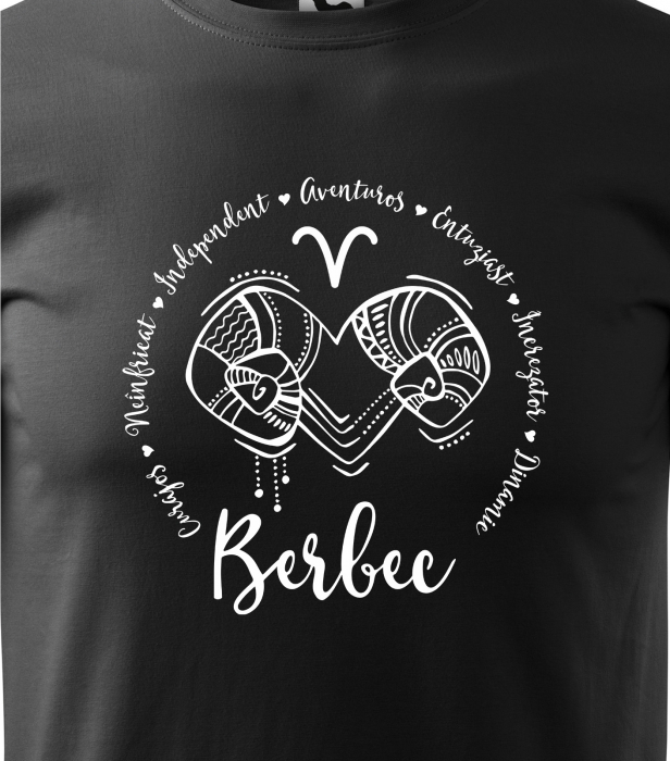 Tricou pentru zodia Berbec (21 martie - 20 aprilie), Horoscop Berbec, idee de cadou [2]