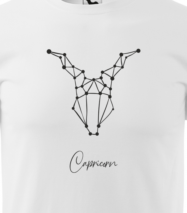 Tricou pentru zodia Capricorn (22 decembrie - 19 ianuarie), Horoscop Capricorn, idee de cadou [2]
