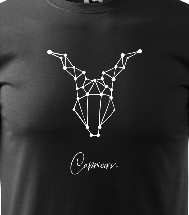 Tricou pentru zodia Capricorn (22 decembrie - 19 ianuarie), Horoscop Capricorn, idee de cadou [2]