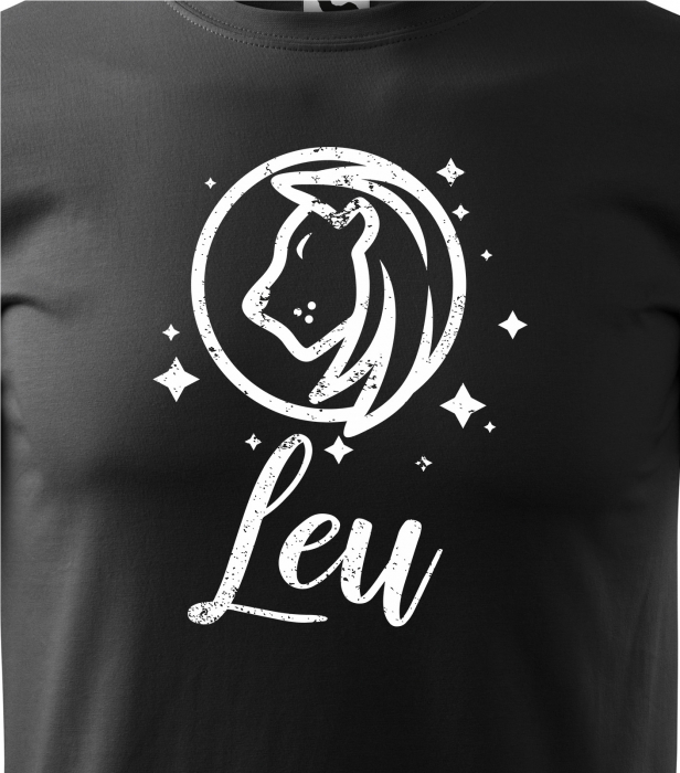 Tricou pentru zodia Leu (22 iulie - 22 august), Horoscop Leu, idee de cadou [2]
