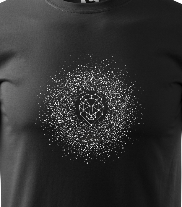 Tricou pentru zodia Leu (22 iulie - 22 august), Horoscop Leu, idee de cadou [2]