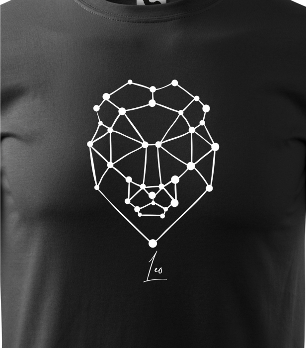 Tricou pentru zodia Leu (22 iulie - 22 august), Horoscop Leu, idee de cadou [2]