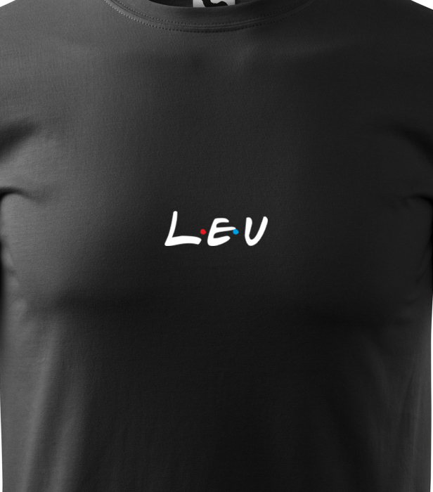 Tricou pentru zodia Leu (22 iulie - 22 august), Horoscop Leu, idee de cadou [2]