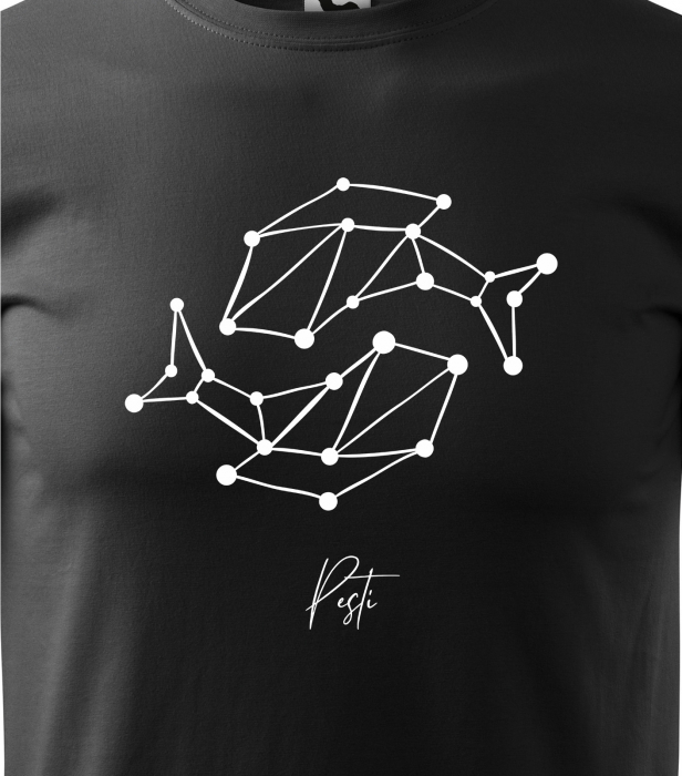 Tricou pentru zodia Pesti (19 februarie - 20 martie), Horoscop Pesti, idee de cadou [2]