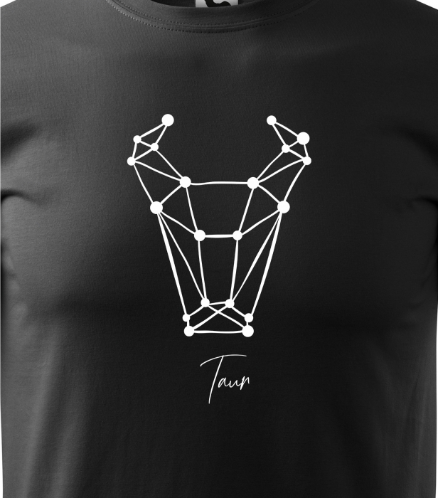 Tricou pentru zodia Taur (21 aprilie - 21 mai), Horoscop Taur, idee de cadou [2]