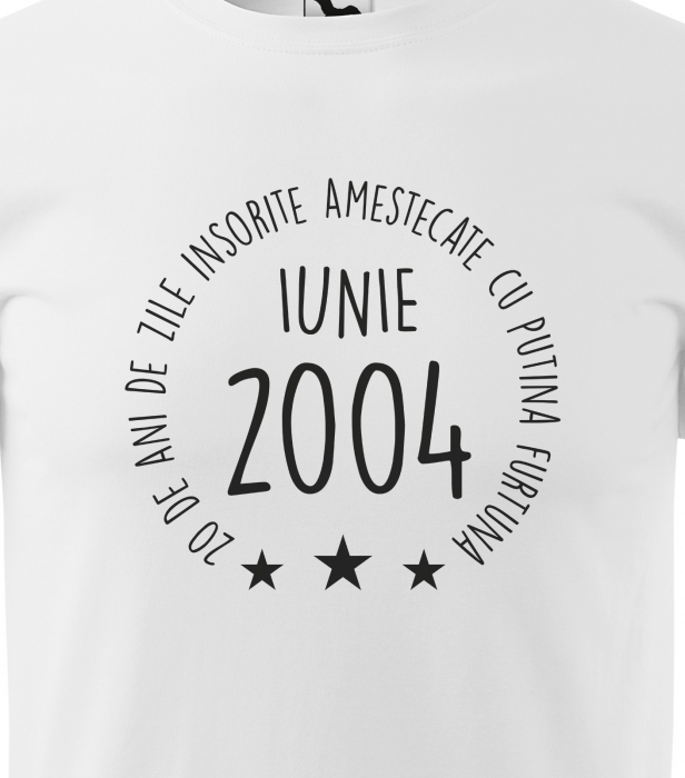 Tricou personalizat 21 ani, Zile INSORITE amestecate cu FURTUNA [2]