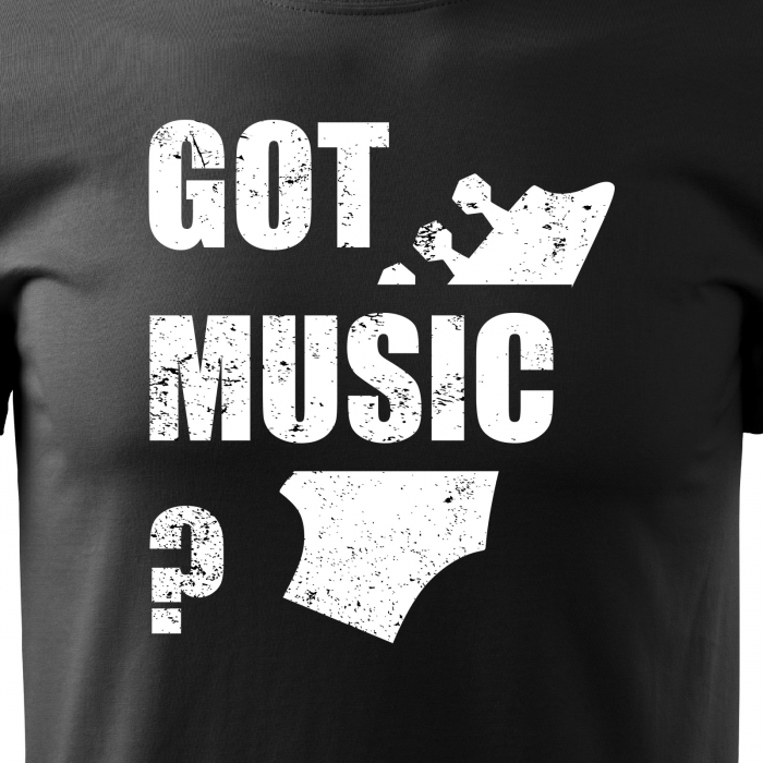 Tricou personalizat pentru cei pasionati de muzica, cadoul perfect, Got Music [2]