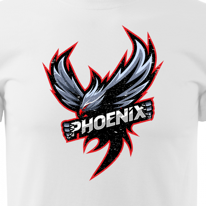 Tricou personalizat pentru gameri, cadoul perfect, Phoenix [2]