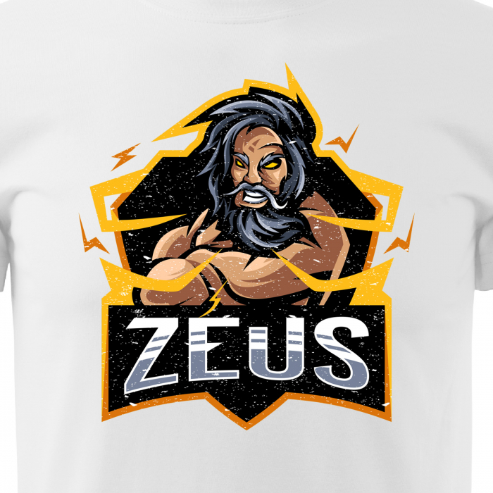 Tricou personalizat pentru gameri, cadoul perfect, Zeus [2]
