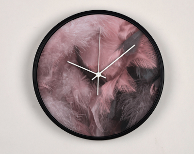 Ceasuri de perete - Ceas de perete, pentru living, birou sau showroom, Pene roz pufoase