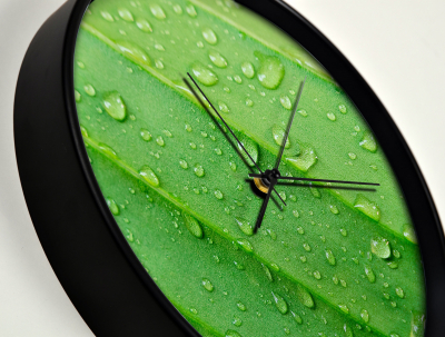 Ceas de perete, pentru living, birou sau showroom, Picaturi de ploaie pe o frunza verde [2]