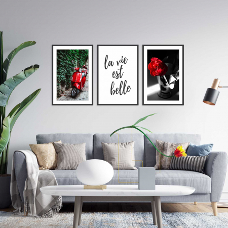 Tablouri cu rama - Set 3 tablouri cu ramă, "La vie est plus belle"