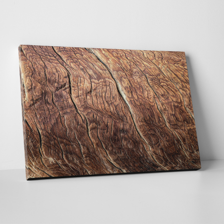 Tablouri canvas Abstracte - Tablou canvas abstract, Fibre de lemn