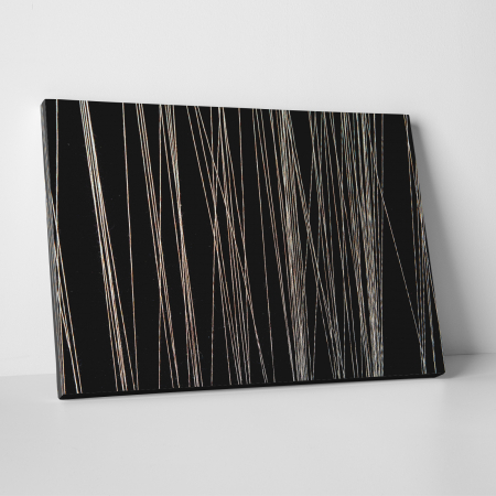 Tablouri canvas Abstracte - Tablou canvas abstract, Fire albe