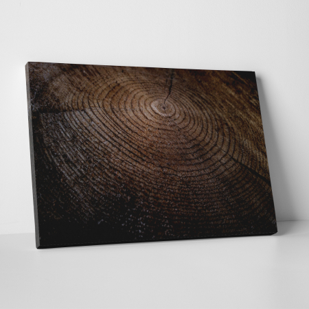 Tablouri canvas Abstracte - Tablou canvas abstract, Inele de... lemn