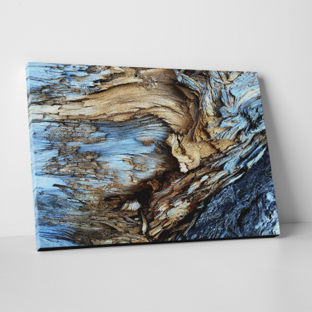 Tablouri canvas Abstracte - Tablou canvas abstract, Lemn albastrui putrezit