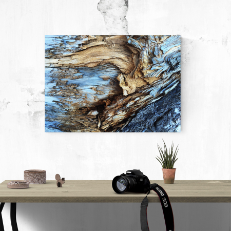 Tablou canvas abstract, Lemn albastrui putrezit [3]