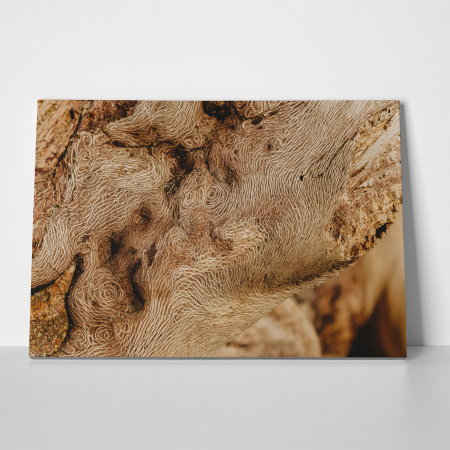 Tablou canvas abstract, Lemn desenat [2]