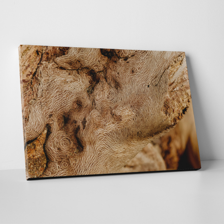 Tablouri canvas Abstracte - Tablou canvas abstract, Lemn desenat