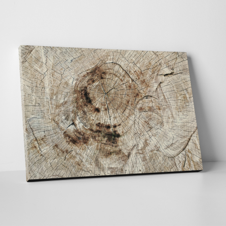 Tablouri canvas Abstracte - Tablou canvas abstract, Lemn imbatranit