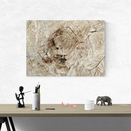 Tablou canvas abstract, Lemn imbatranit [3]