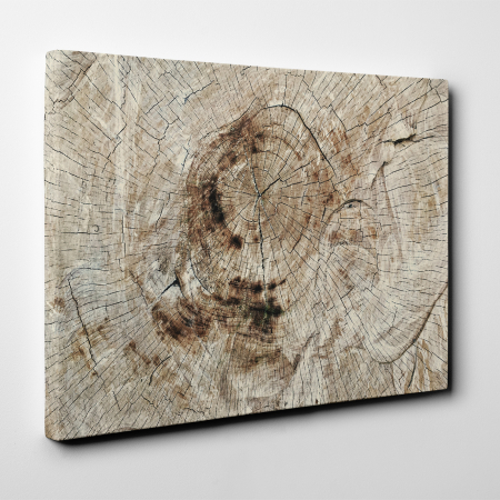 Tablou canvas abstract, Lemn imbatranit [1]