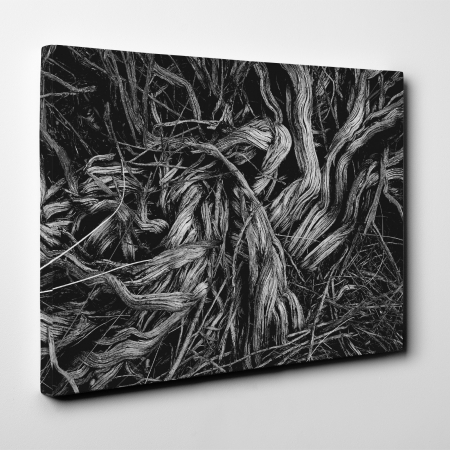 Tablou canvas abstract, O increngatura vegetala [1]