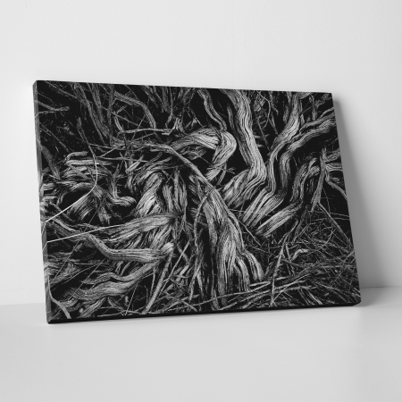 Tablouri canvas Abstracte - Tablou canvas abstract, O increngatura vegetala