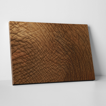 Tablouri canvas Abstracte - Tablou canvas abstract, Piele de... elefant